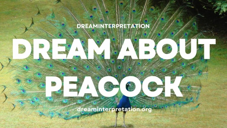 Dream About Peacock? (Interpretation & Spiritual Meaning)