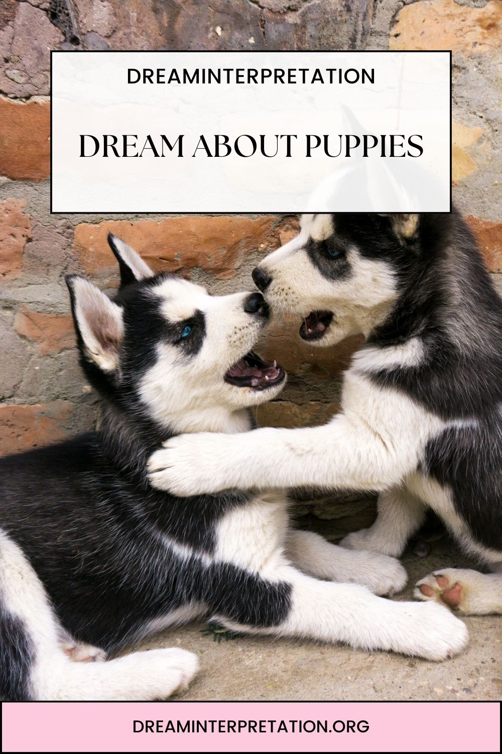 Dream About Puppies pin 2
