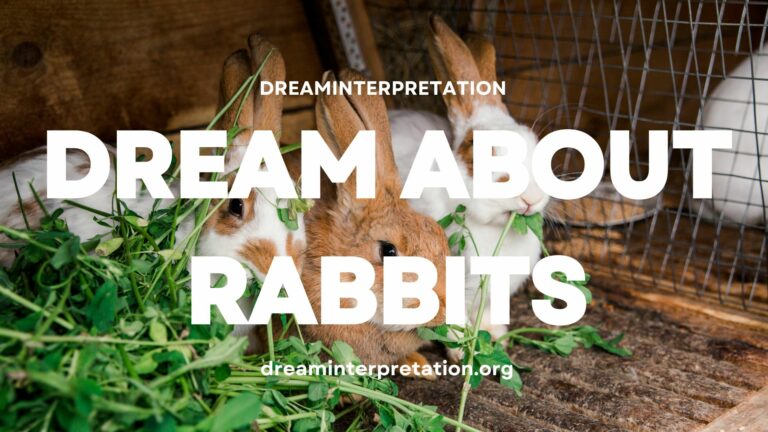 Dream About Rabbits? (Interpretation & Spiritual Meaning)