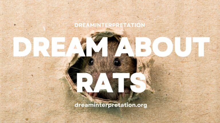 Dream About Rats? (Interpretation & Spiritual Meaning)
