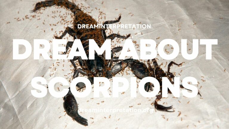 Dream About Scorpions? (Interpretation & Spiritual Meaning)