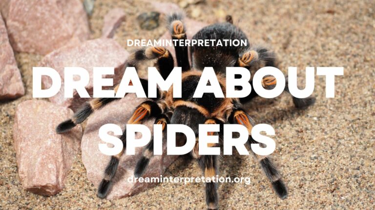 Dream About Spider? (Interpretation & Spiritual Meaning)