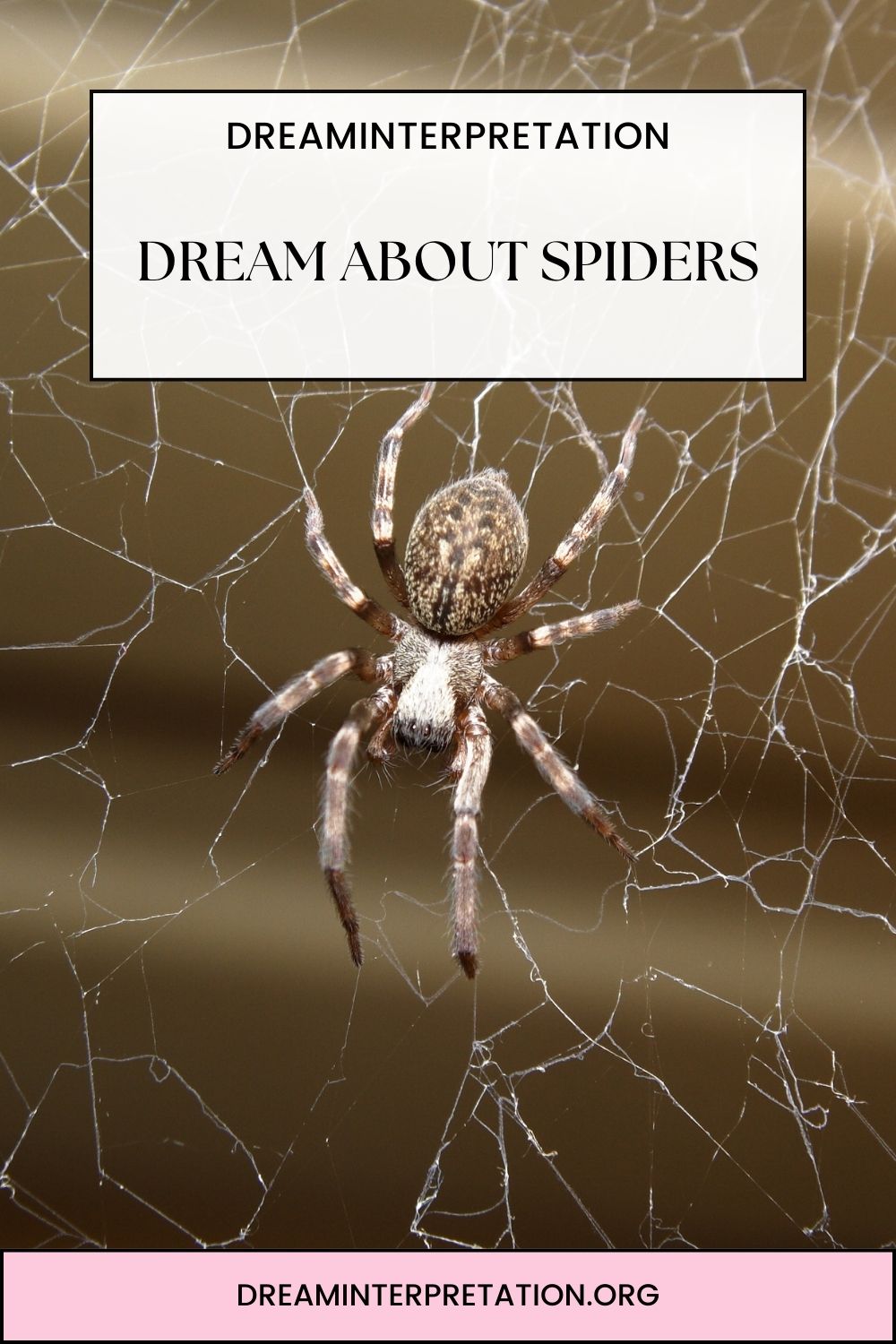 Dream About Spiders pin 1
