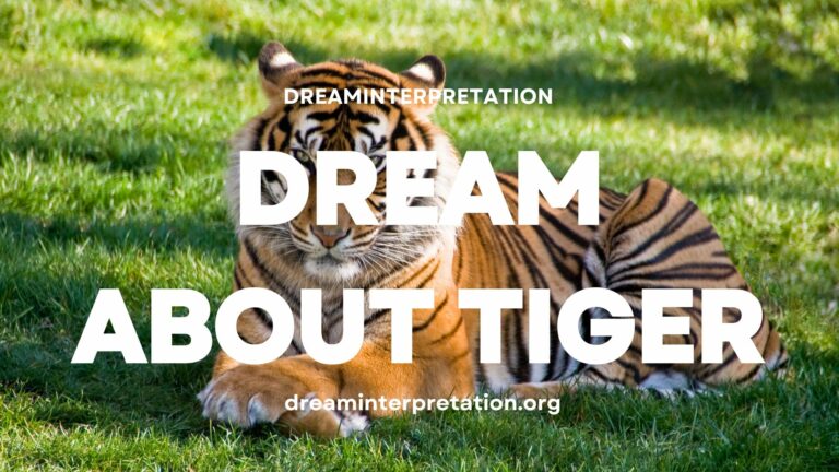 Dream About Tiger? (Interpretation & Spiritual Meaning)