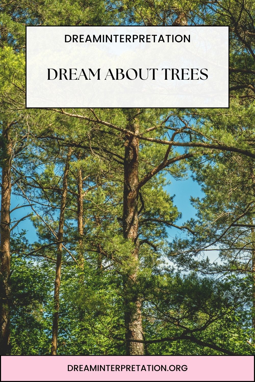 Dream About Trees pin 1