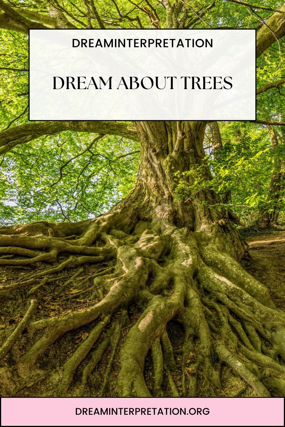 Dream About Trees pin 2