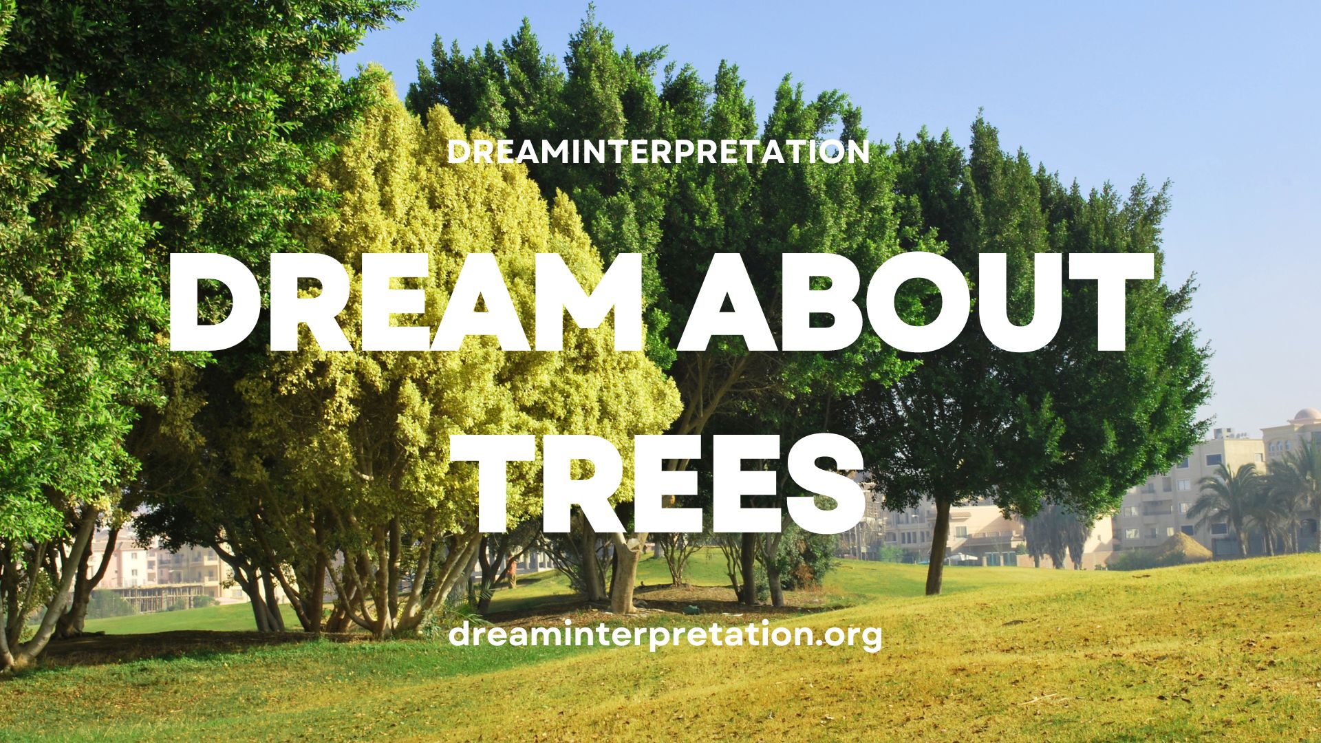 Dream About Trees