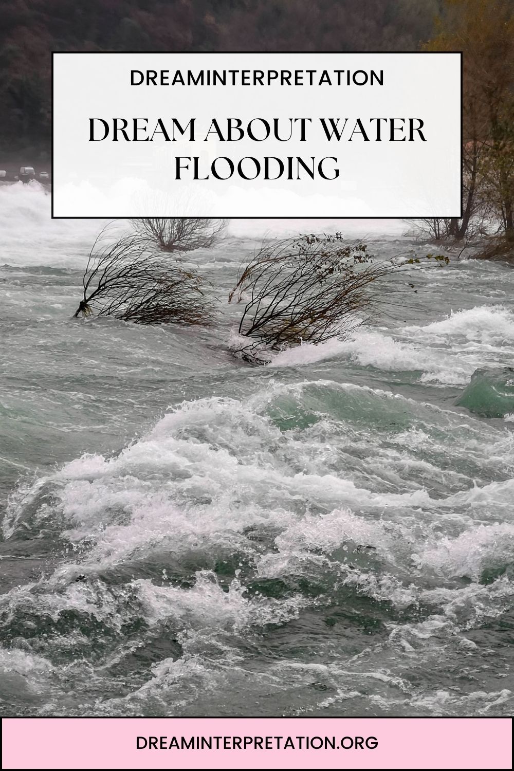 Dream About Water Flooding pin 1