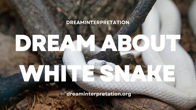Dream About White Snake? (Interpretation & Spiritual Meaning)
