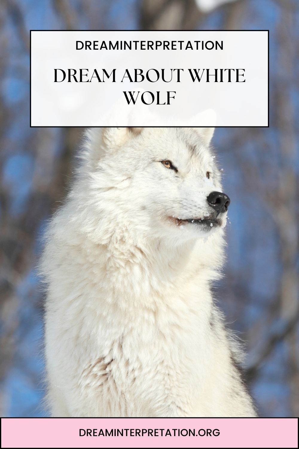 Dream About White Wolf pin 1