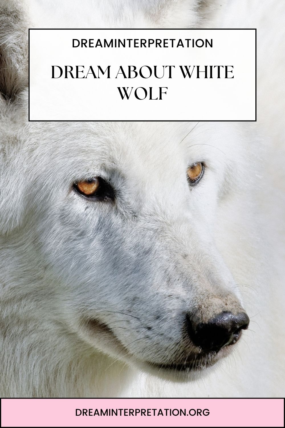 Dream About White Wolf pin 2