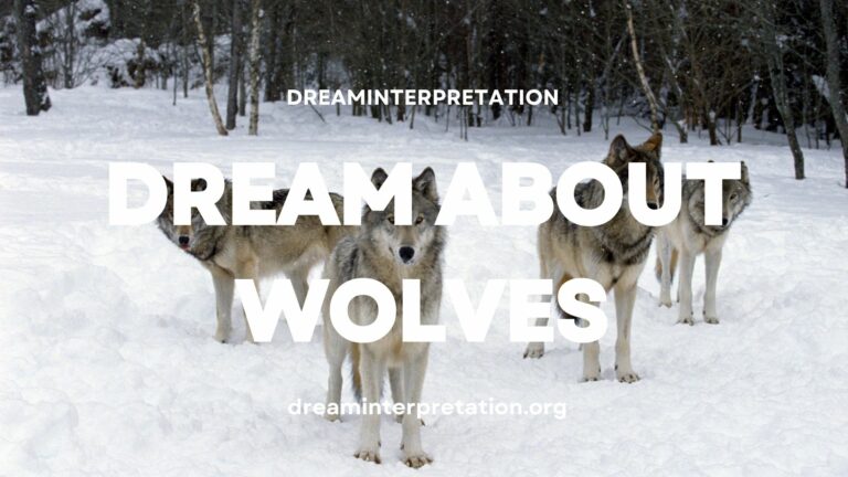 Dream About Wolf? (Interpretation & Spiritual Meaning)