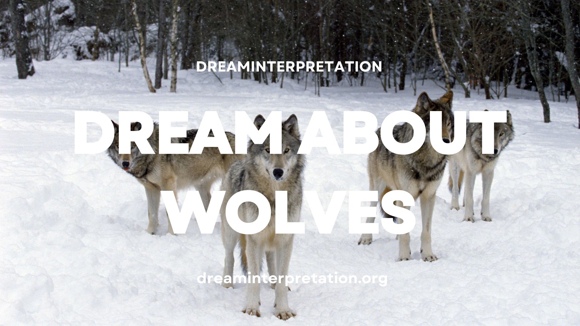 Dream About Wolves