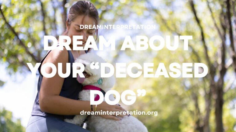 Dream About Your “Deceased Dog”? (Interpretation & Spiritual Meaning)