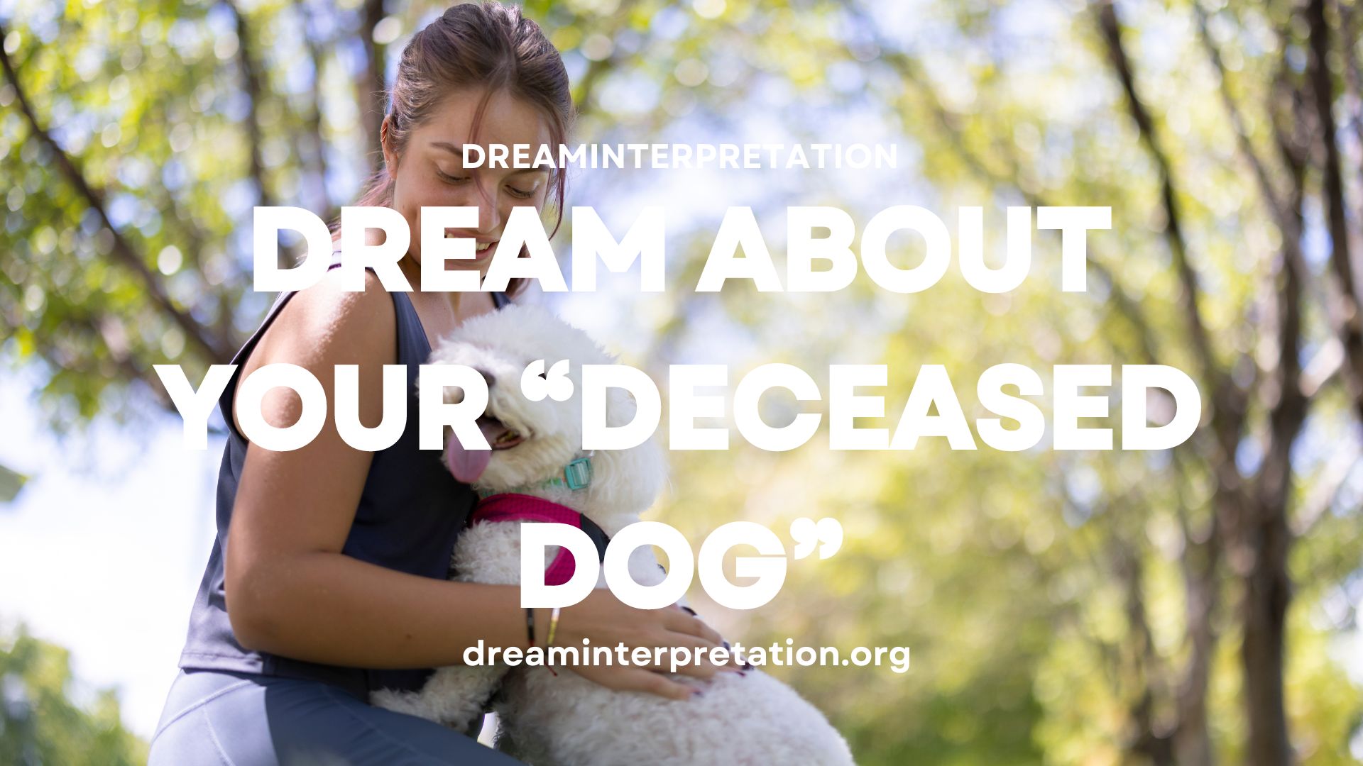 Dream About Your “Deceased Dog”