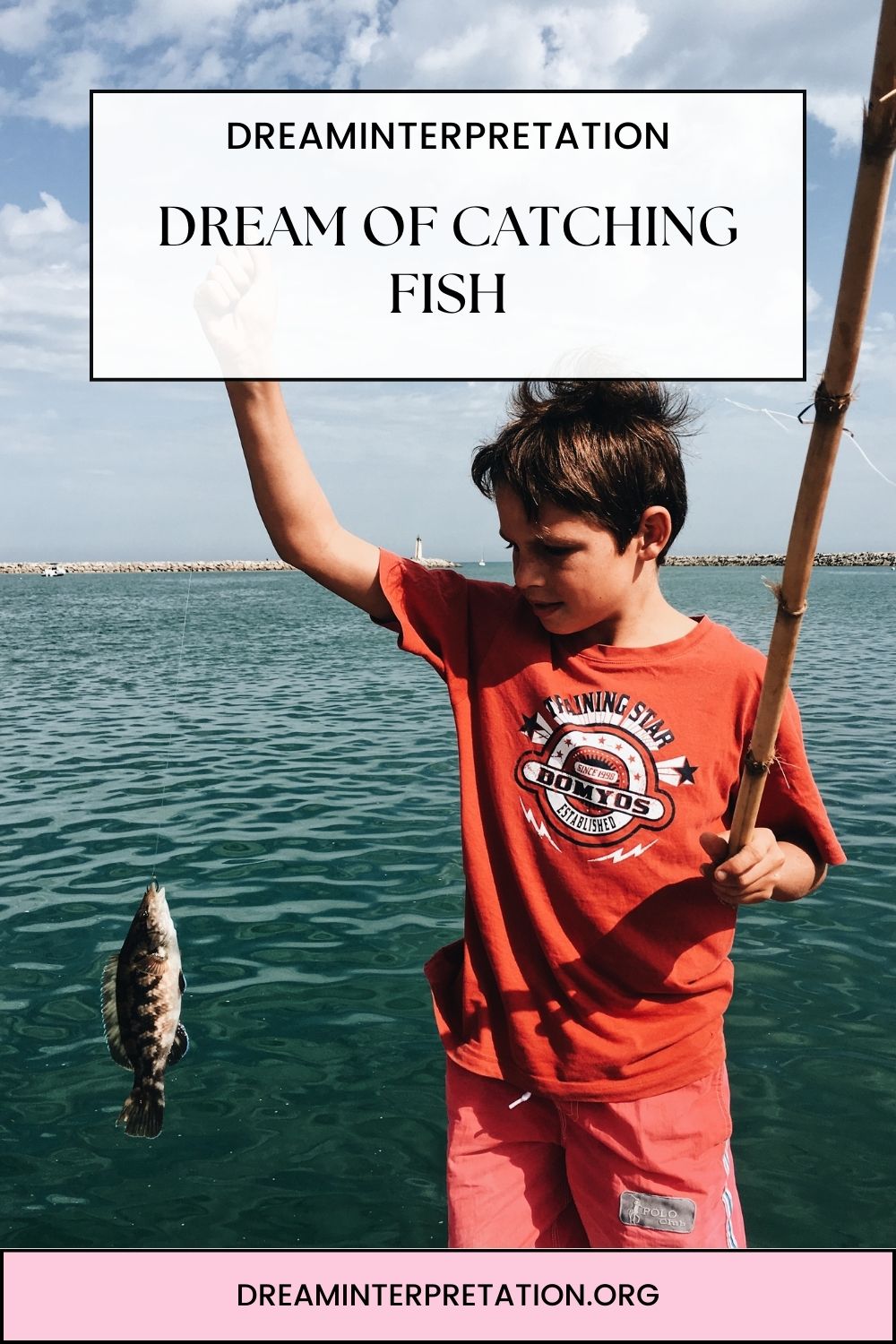 Dream Of Catching Fish pin