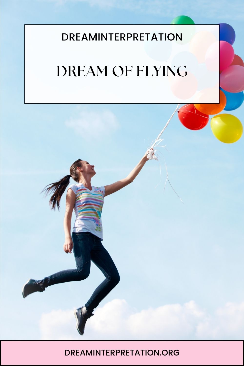 Dream Of Flying pin