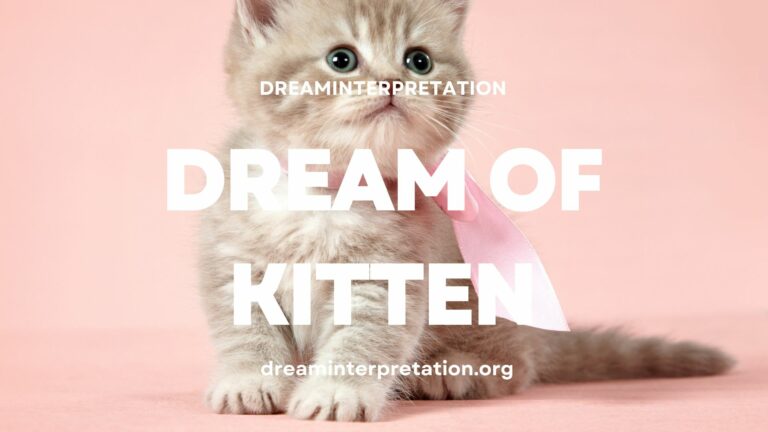 Dream Of Kitten? (Interpretation & Spiritual Meaning)