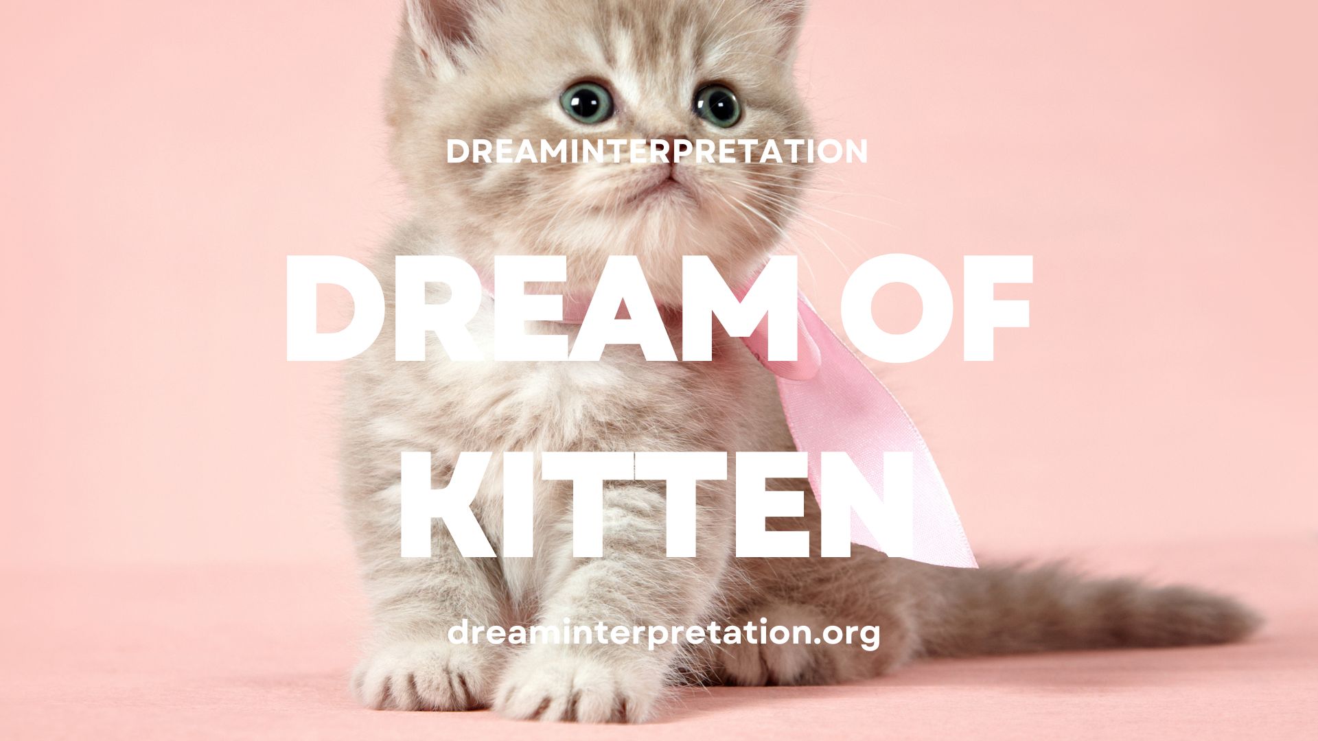 Dream Of Kitten