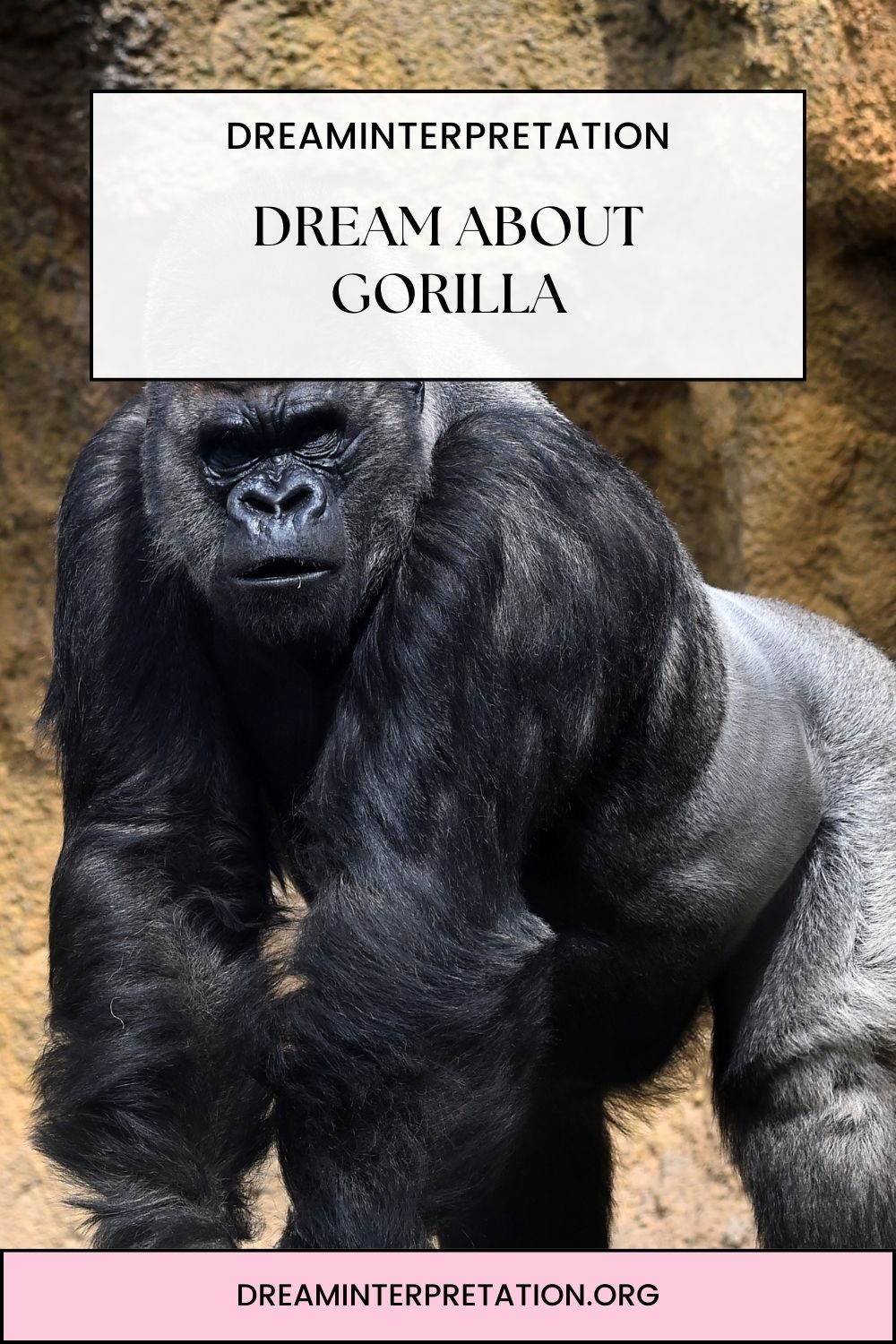 Dream about Gorilla pin 1