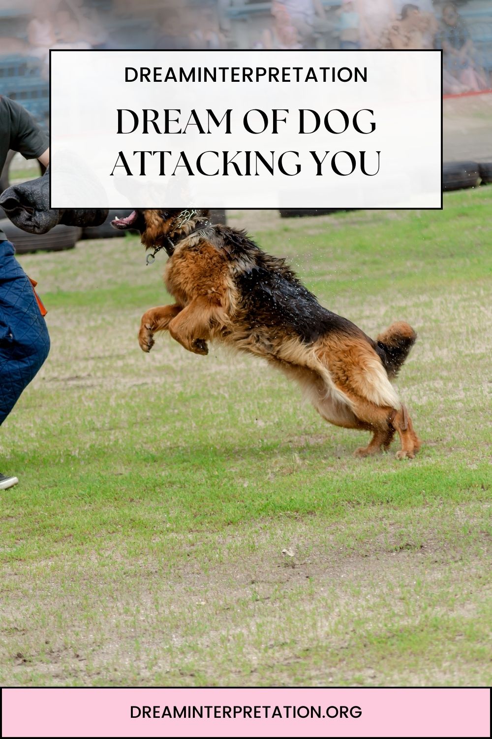 Dream of Dog Attacking You pin 1