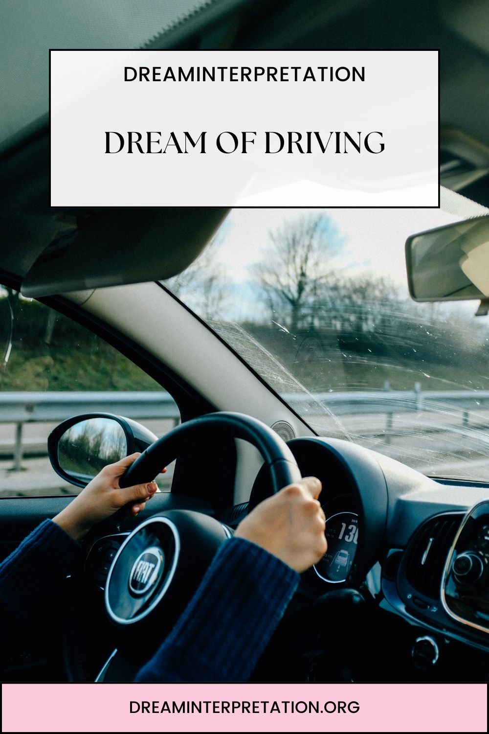 Dream of Driving pin 1