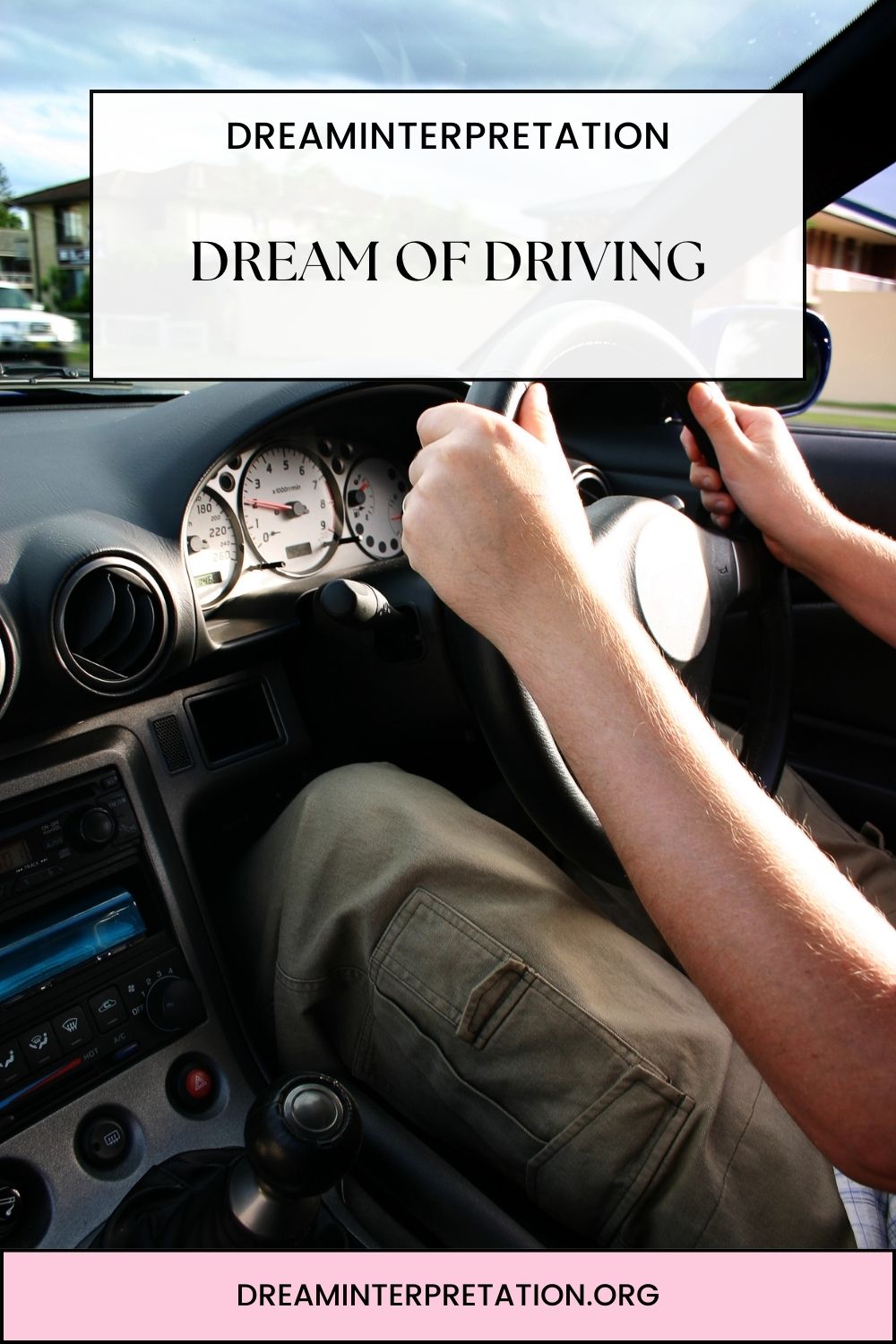Dream of Driving pin 2