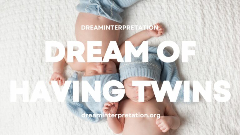 Dream of Having Twins? (Interpretation & Spiritual Meaning)