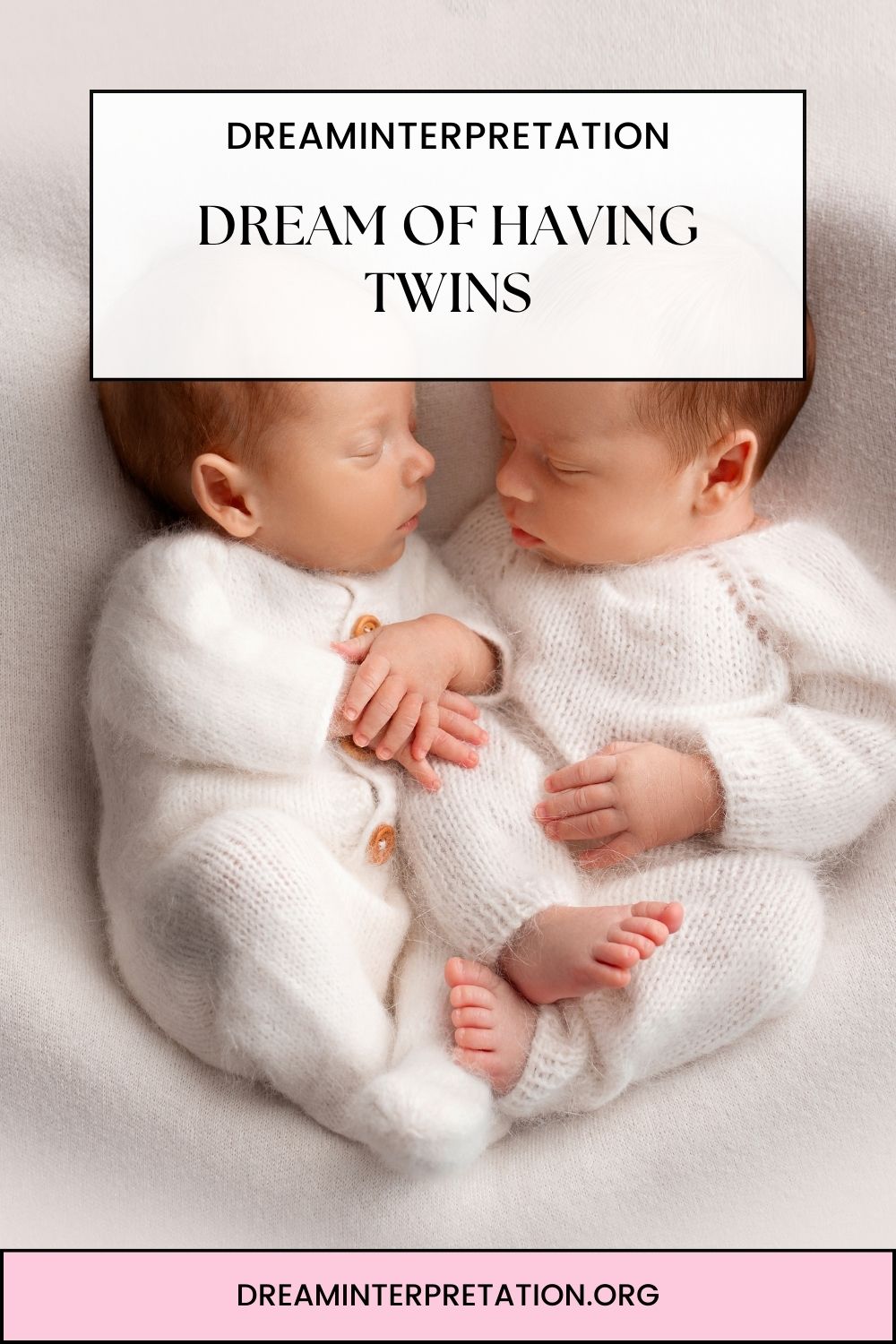 Dream of Having Twins pin 1