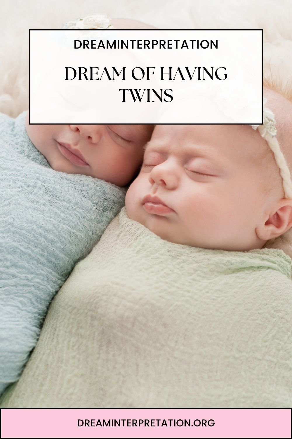 Dream of Having Twins pin 2