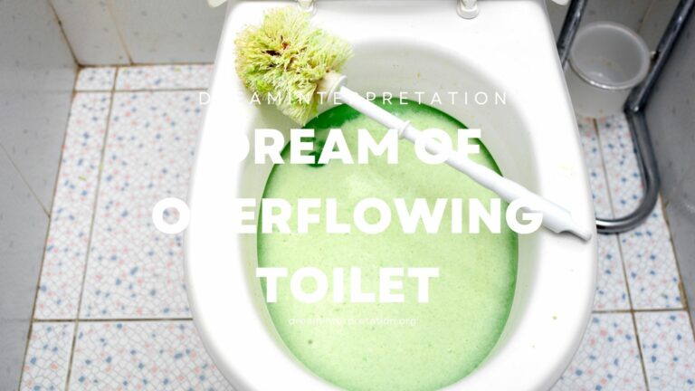 Dream of Overflowing Toilet? (Interpretation & Spiritual Meaning)
