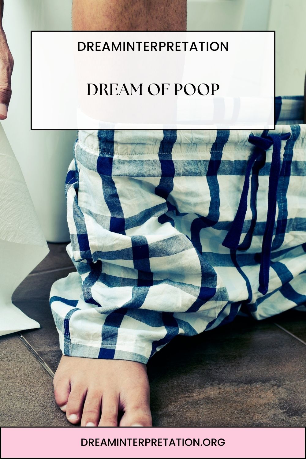 Dream of Poop pin 1