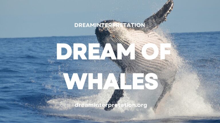 Dream about Whale? (Interpretation & Spiritual Meaning)