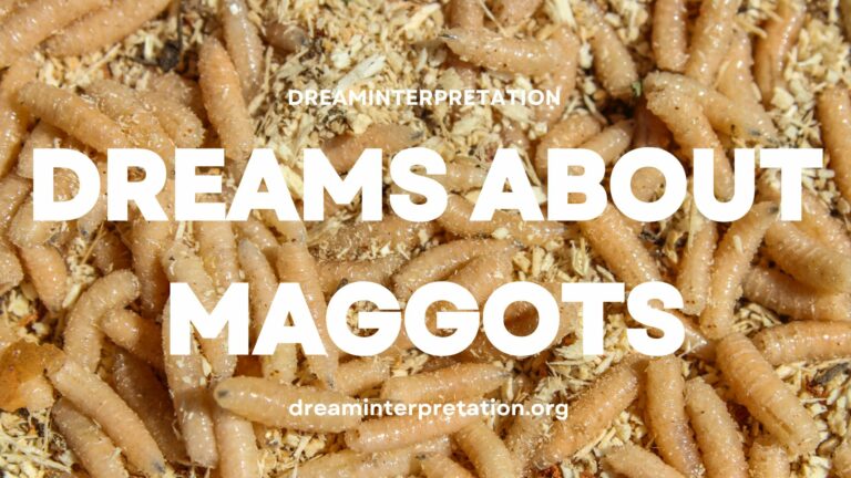 Dreams About Maggots? (Interpretation & Spiritual Meaning)