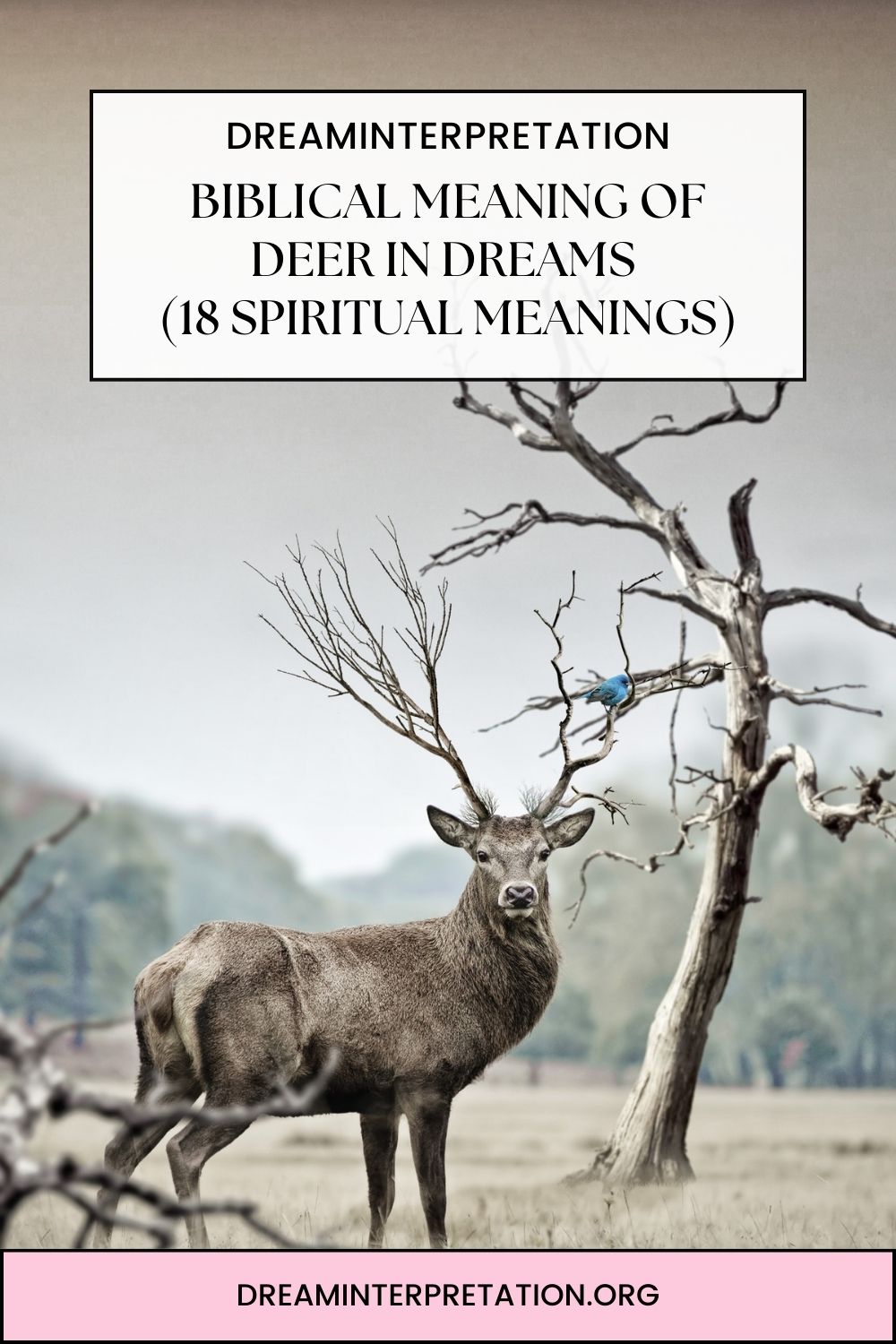 Biblical Meaning Of Deer In Dreams (18 Spiritual Meanings) pin 2
