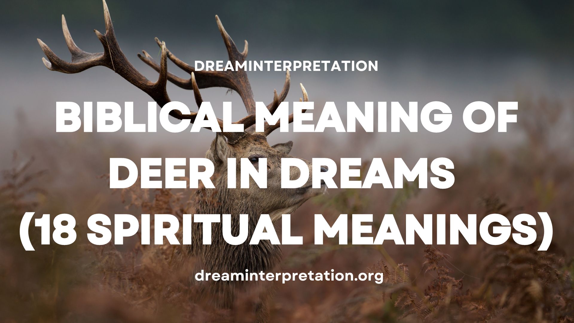Biblical Meaning Of Deer In Dreams (18 Spiritual Meanings)