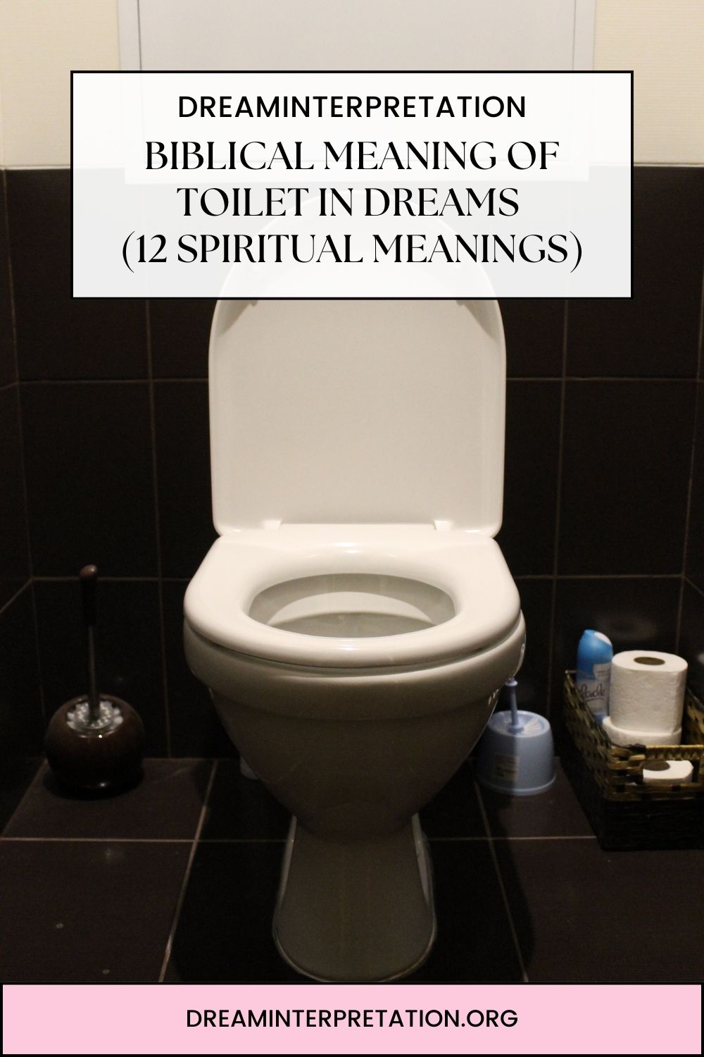 Biblical Meaning Of Toilet In Dreams (12 Spiritual Meanings) pin 1