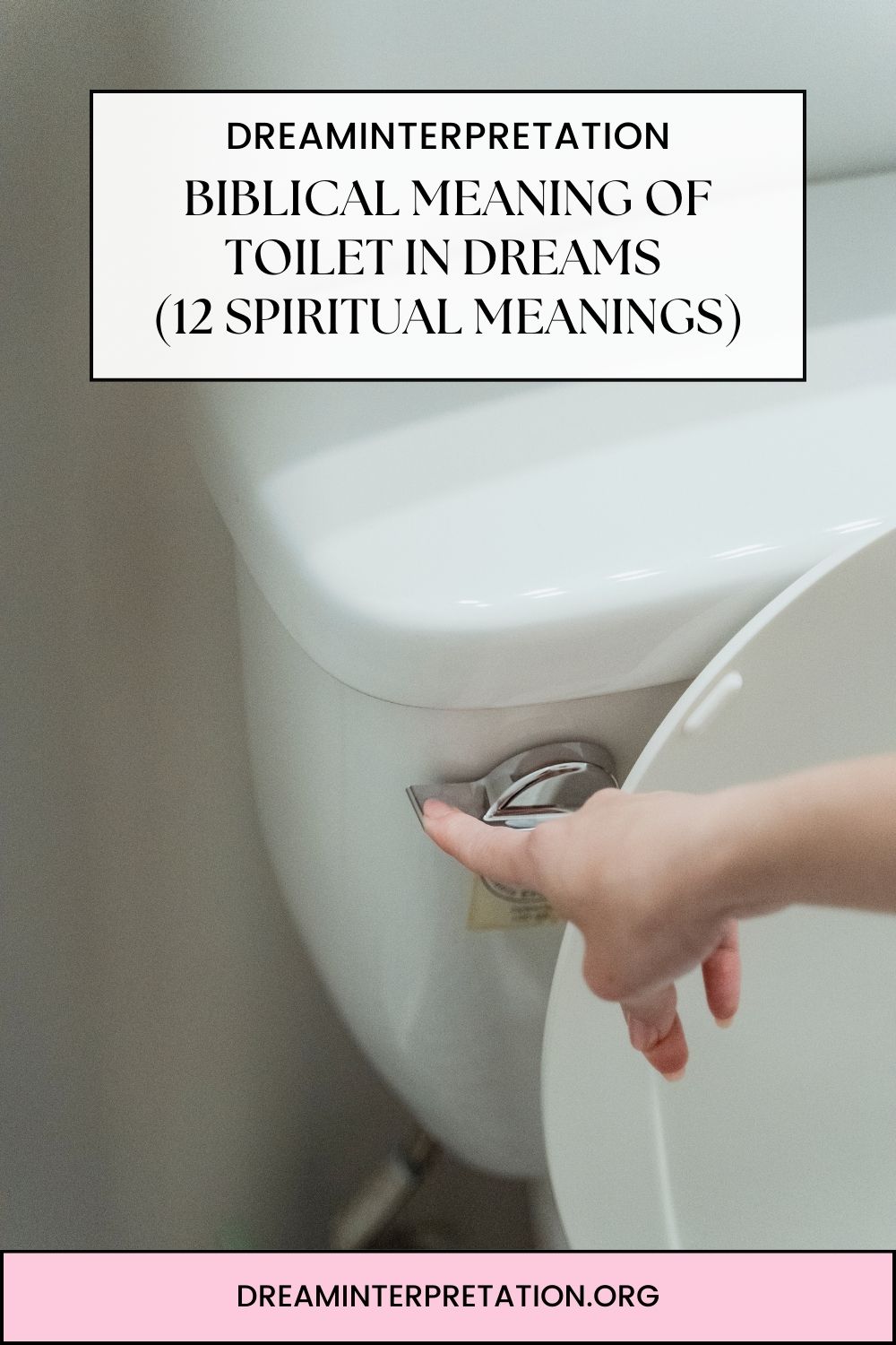 Biblical Meaning Of Toilet In Dreams (12 Spiritual Meanings) pin 2
