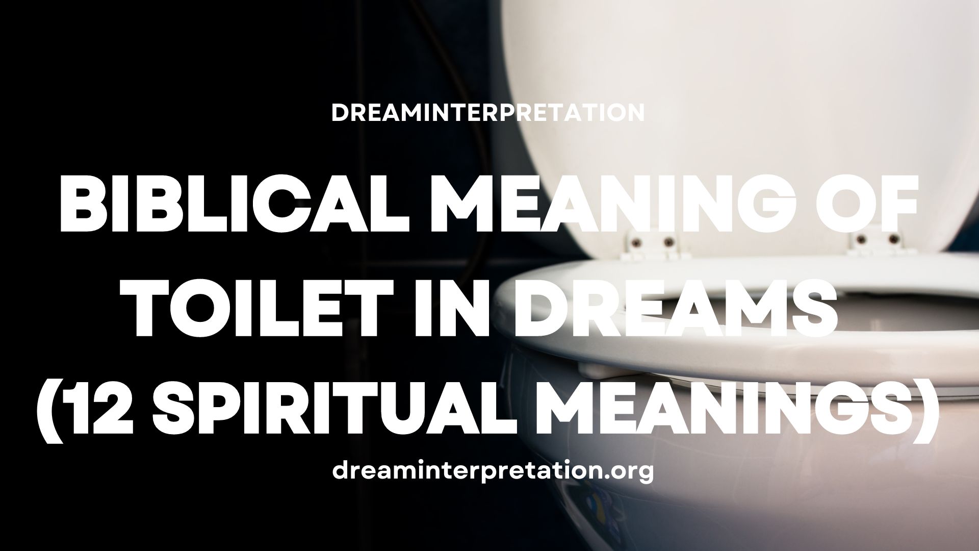 Biblical Meaning Of Toilet In Dreams (12 Spiritual Meanings)