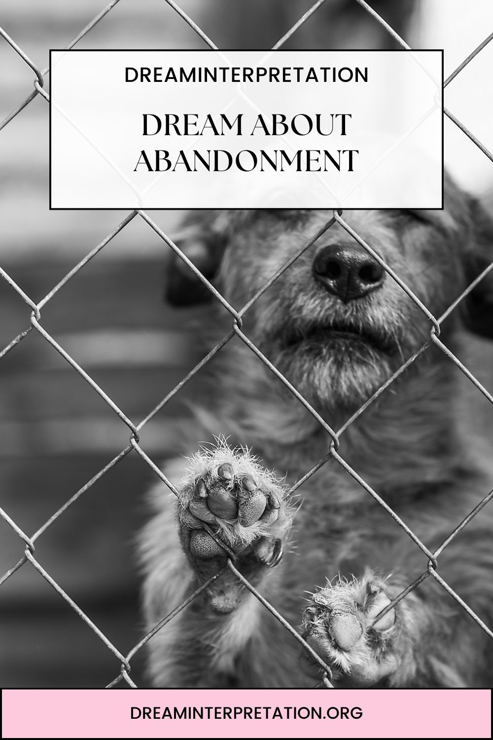 Dream About Abandonment pin 2