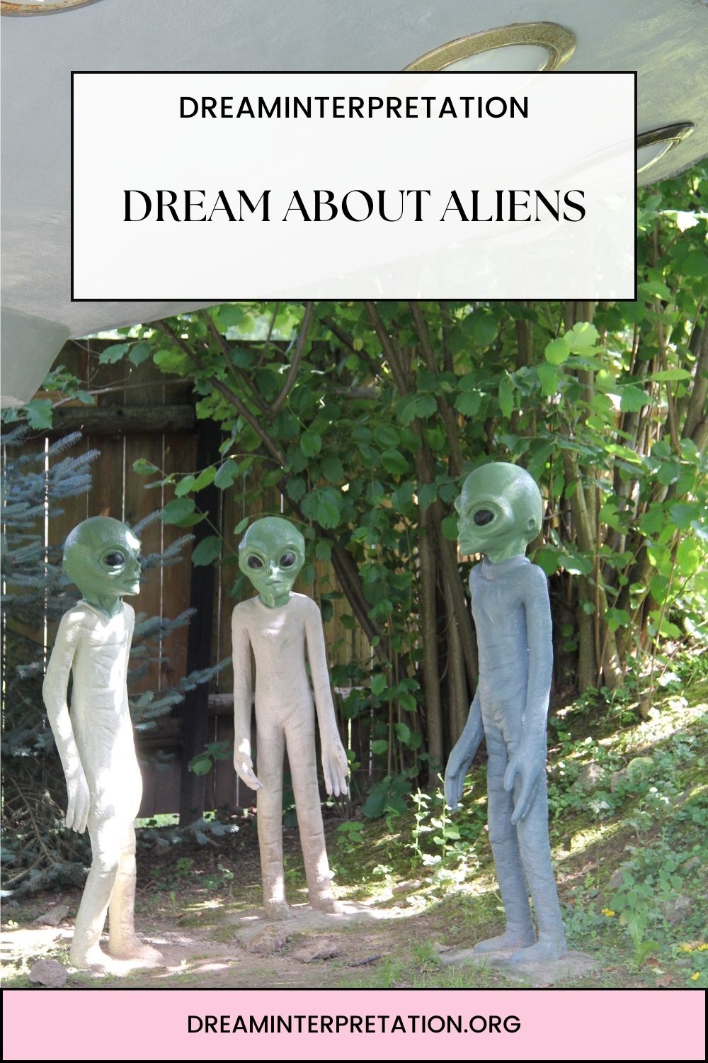 Dream About Aliens pin2