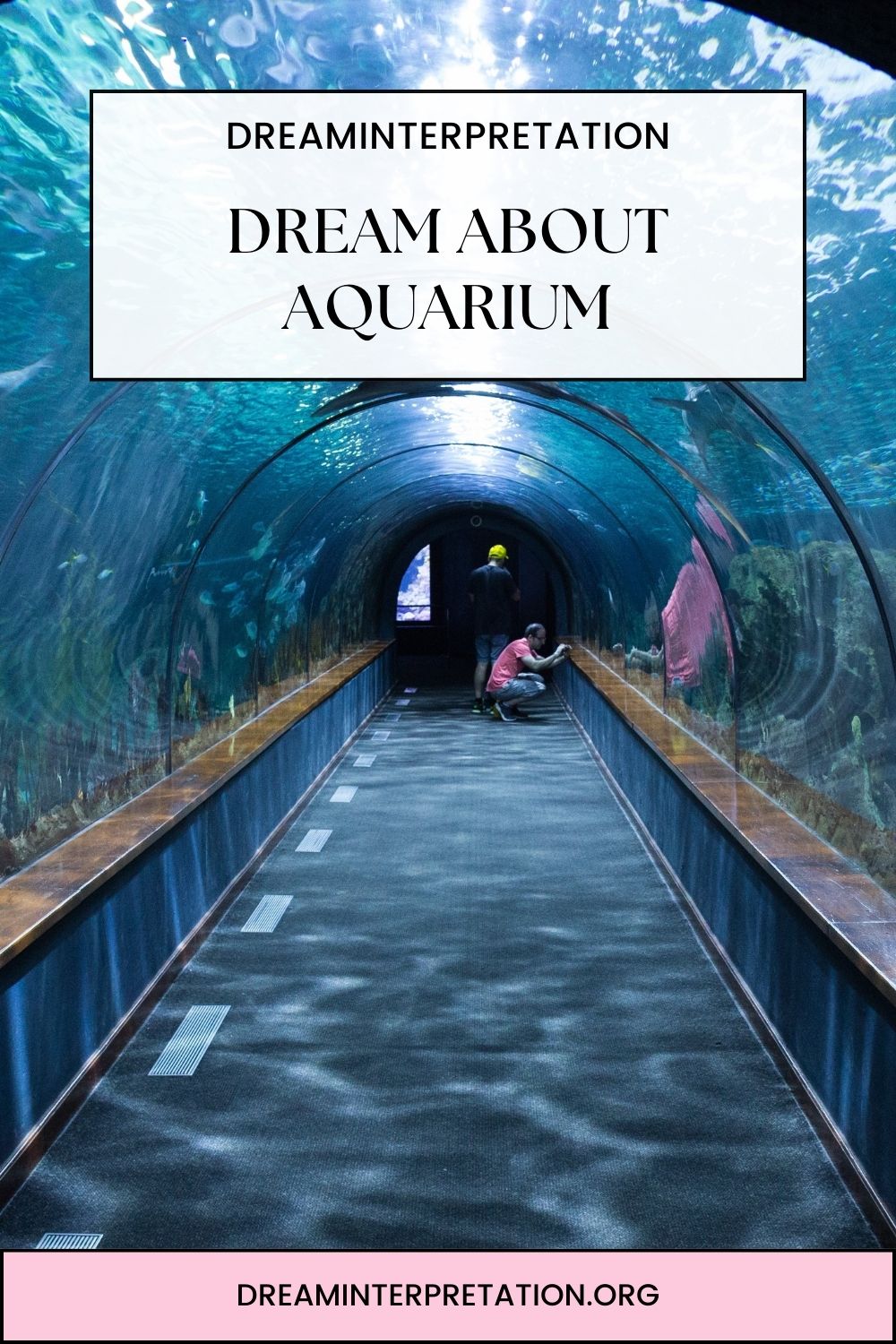 Dream About Aquarium pin 1