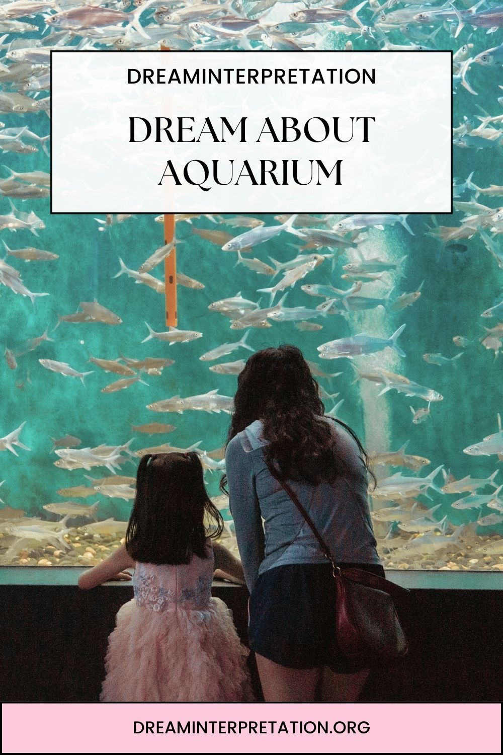 Dream About Aquarium pin 2
