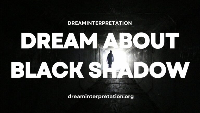Dream About Black Shadow (Interpretation & Spiritual Meaning)