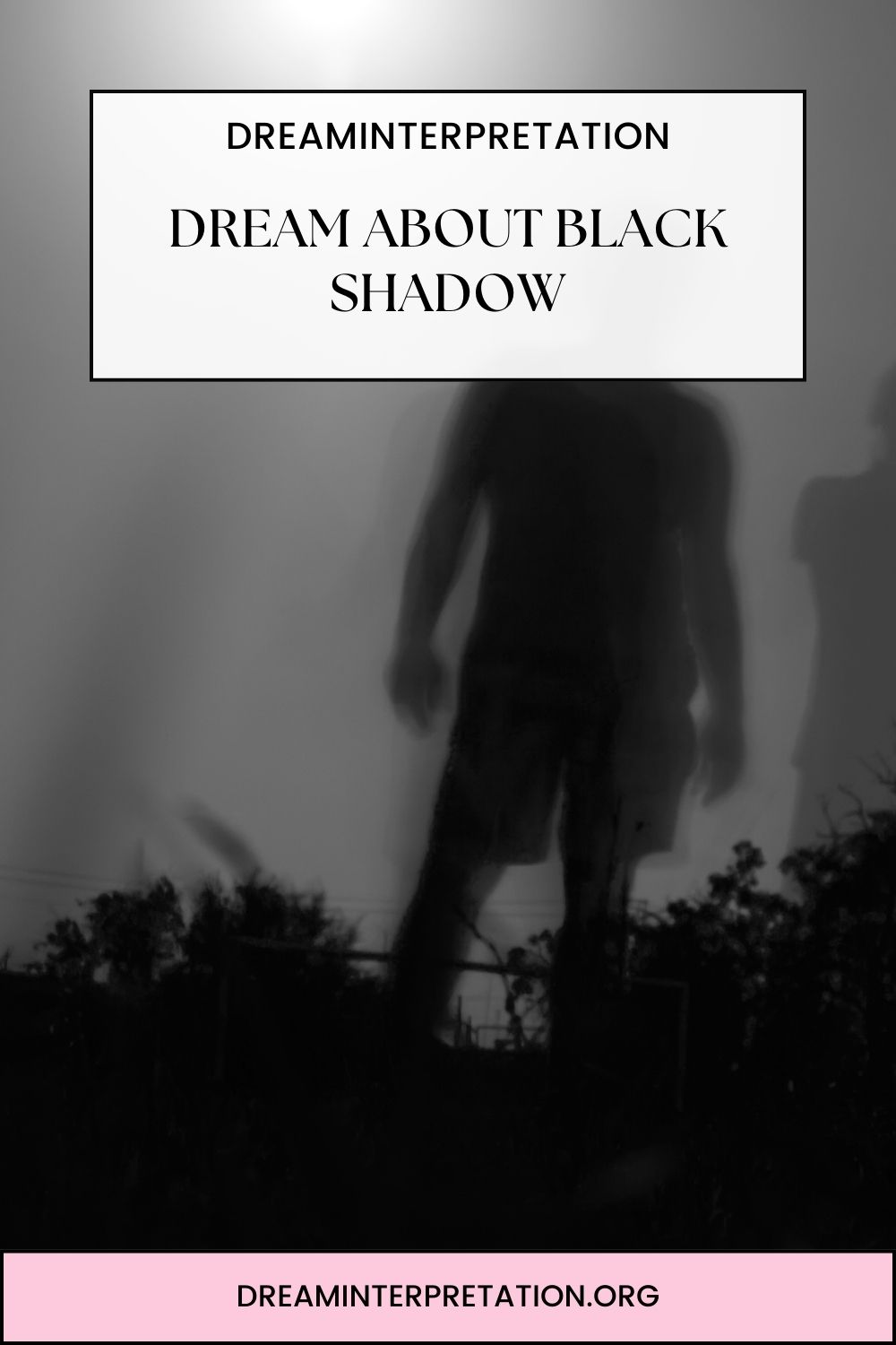 Dream About Black Shadow pin 2