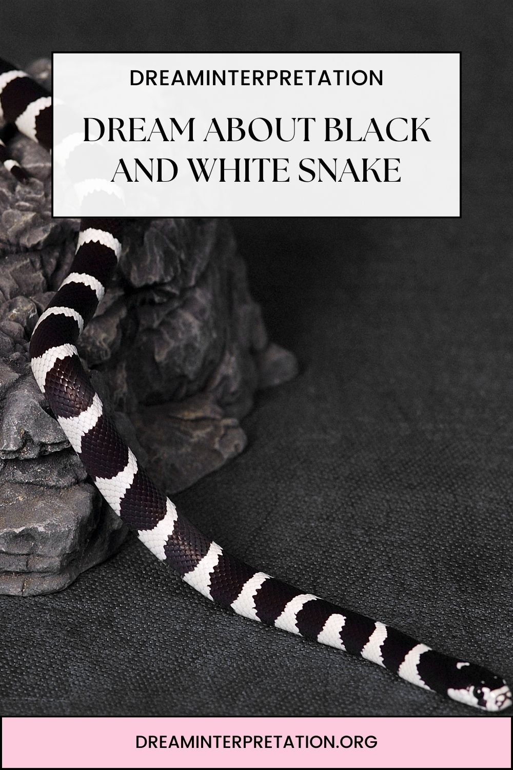 Dream About Black and White Snake pin2