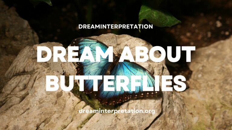 Dream About Butterflies (Interpretation & Spiritual Meaning)
