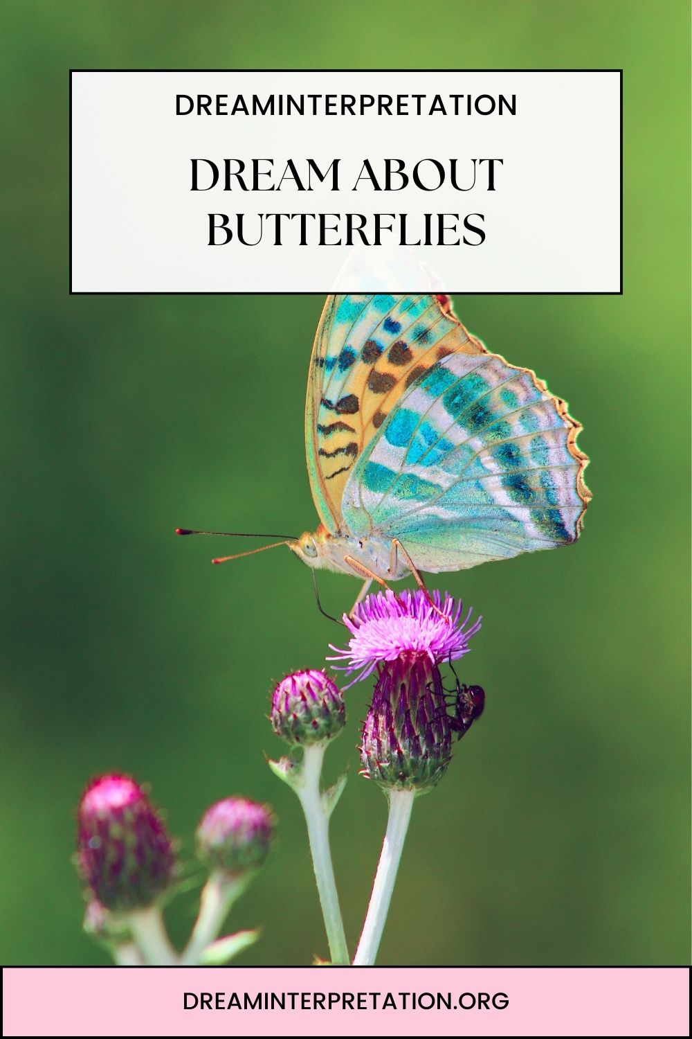 Dream About Butterflies pin2