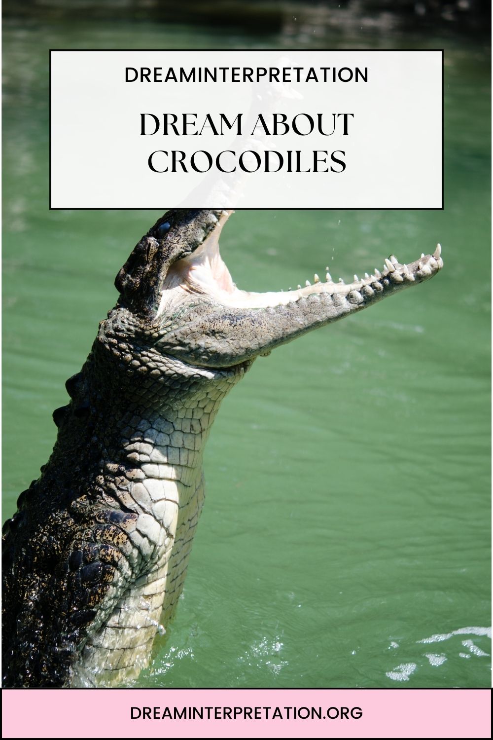 Dream About Crocodiles pin1