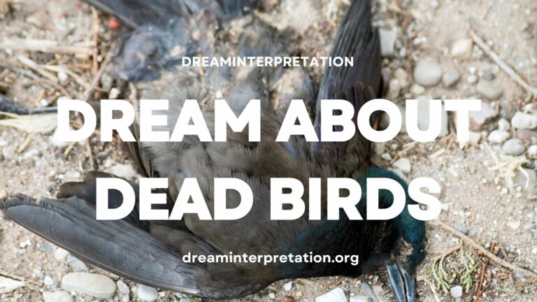 Dream About Dead Birds (Interpretation & Spiritual Meaning)